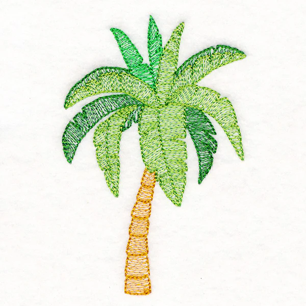 Paradise Palm Tree - Image 5