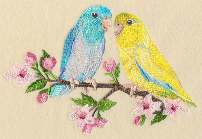 Parrotlet on Cherry Blossom Branch - Image 2