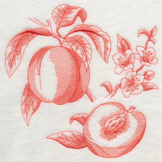 Peach Botanical (Toile) - Image 2