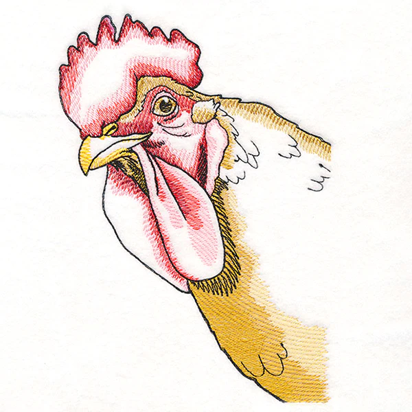 Peeking Chicken - Image 5