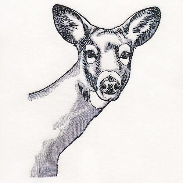 Peeking Deer Etching