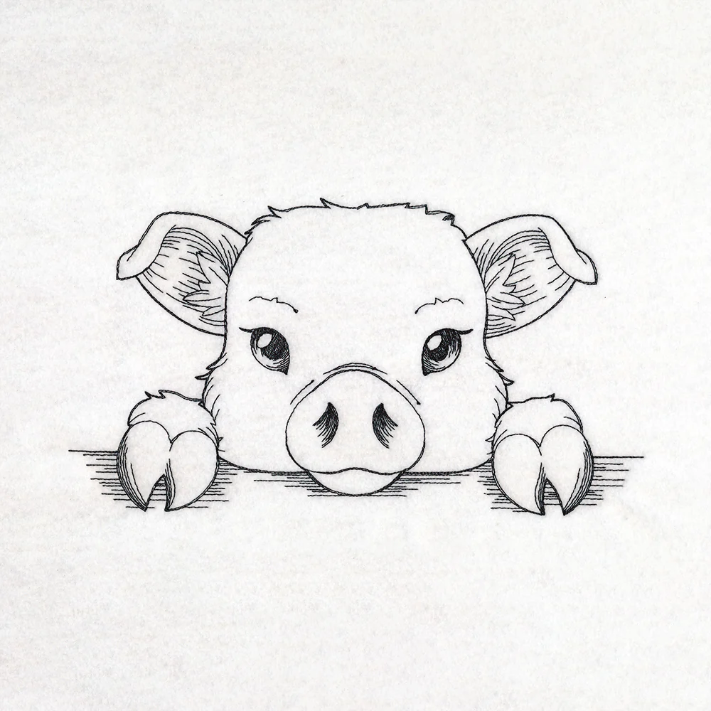Peeking Pig Sketch
