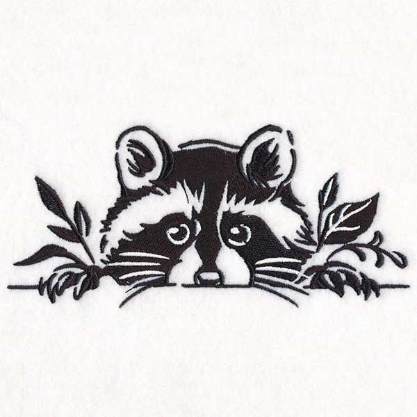 Peeking Raccoon Border - Image 19