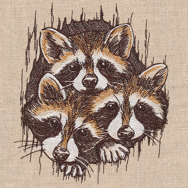 Peeking Raccoons Trio - Image 5