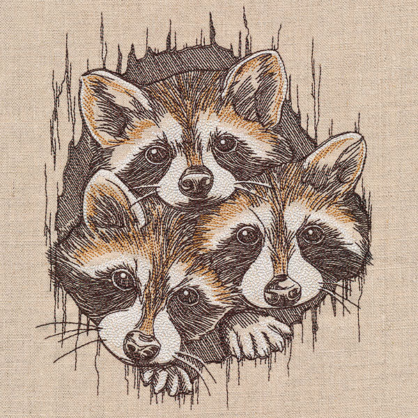 Peeking Raccoons Trio - Image 7