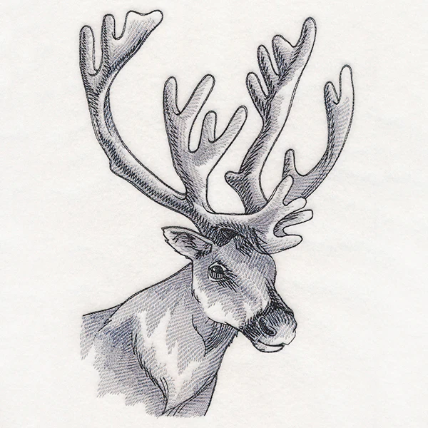 Peeking Reindeer Etching - Image 6