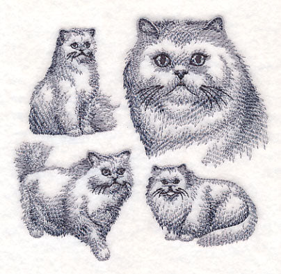 Persian Cat Sketch - Image 3