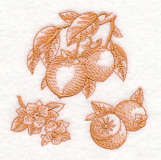 Persimmon Botanical (Toile) - Image 5