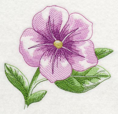 Petunia Beauty - Image 4