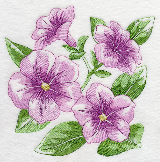 Petunia Sketch - Image 2