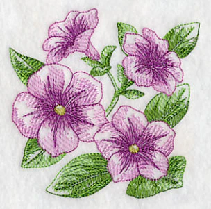 Petunia Sketch - Image 5