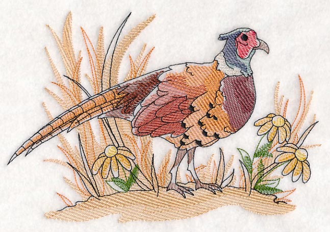 Pheasant Sketch - Image 2