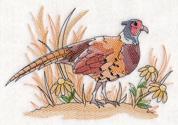 Pheasant Sketch - Image 3