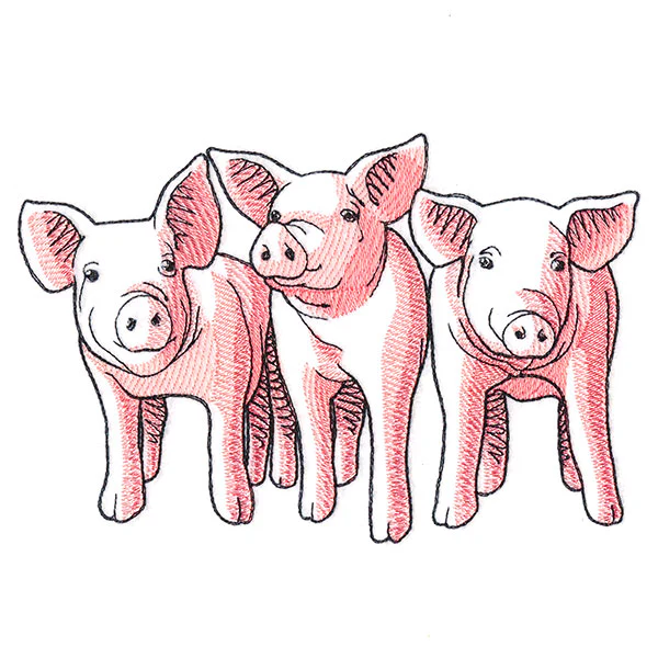 Pig Trio - Front - Image 4