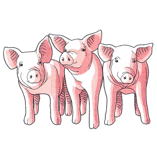 Pig Trio - Front - Image 5