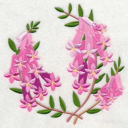 Pink Heath - Image 3