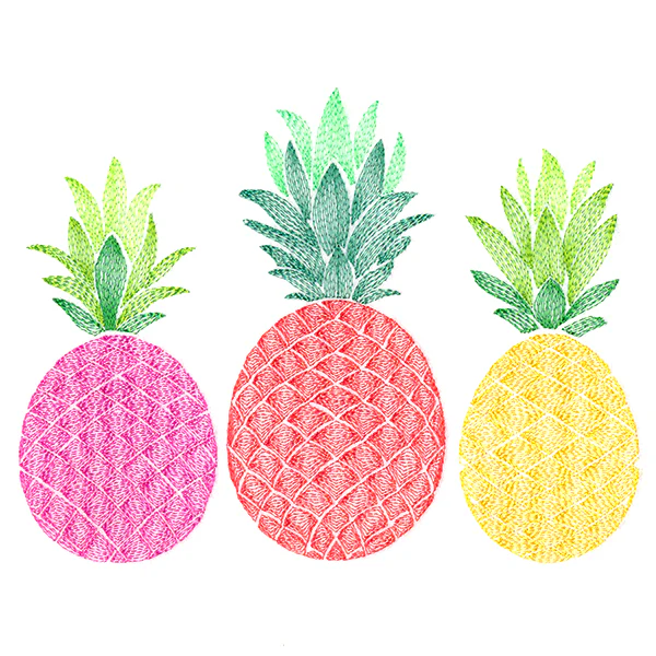Pleasant Pineapple Trio - Image 2