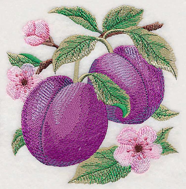 Plum Fruit Accent - Image 3