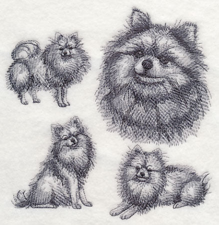 Pomeranian Sketch - Image 3