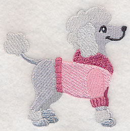 Poodle in Sweater - Image 4