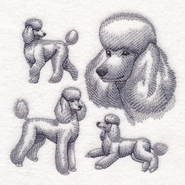 Poodle Sketch - Image 3