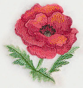 Poppy Bloom in Watercolor - Image 3