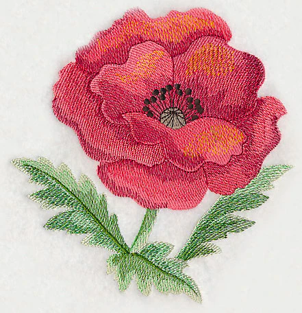 Poppy Bloom in Watercolor - Image 4