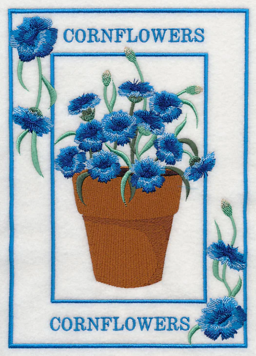 Potted Cornflowers Medley - Image 5