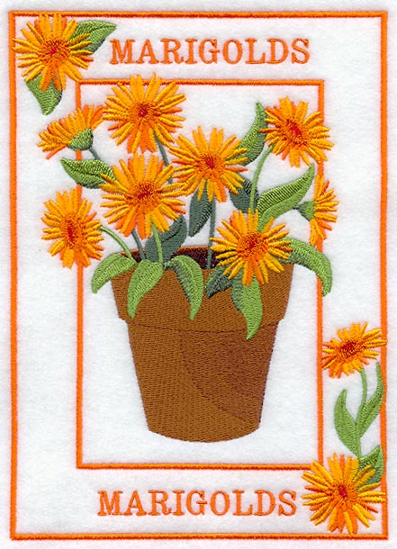 Potted Marigolds Medley - Image 2