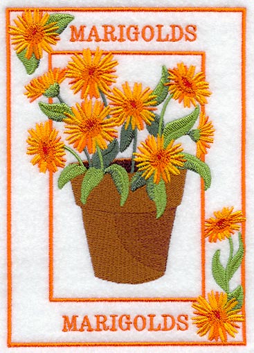 Potted Marigolds Medley - Image 3
