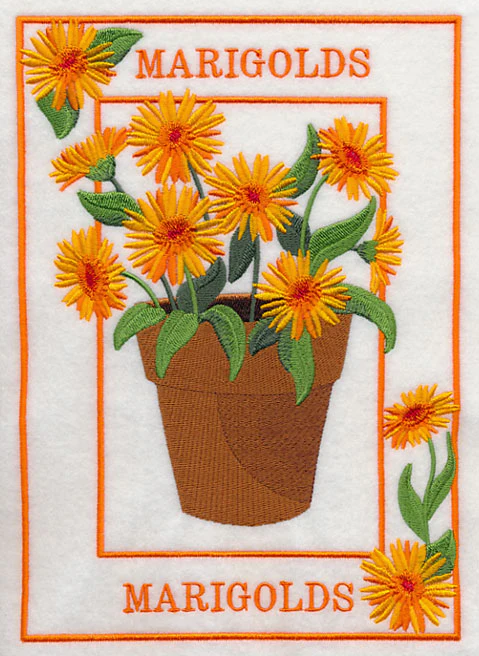 Potted Marigolds Medley - Image 4