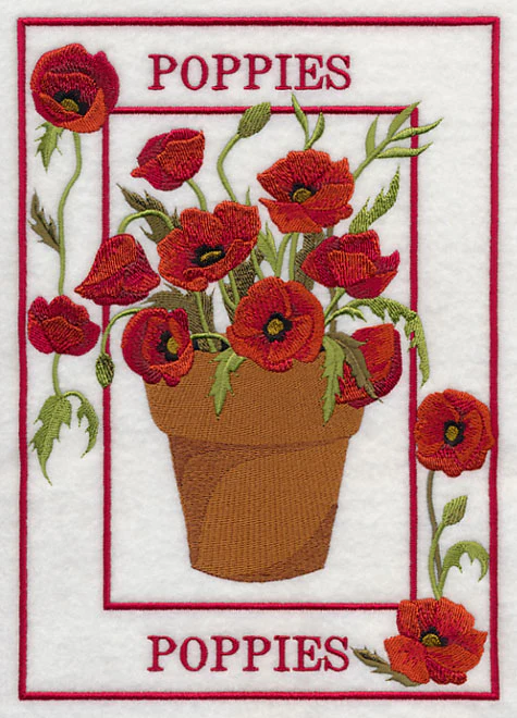 Potted Poppies Medley - Image 4