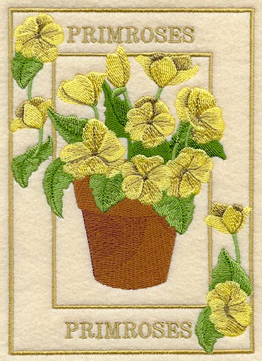 Potted Primroses Medley - Image 3