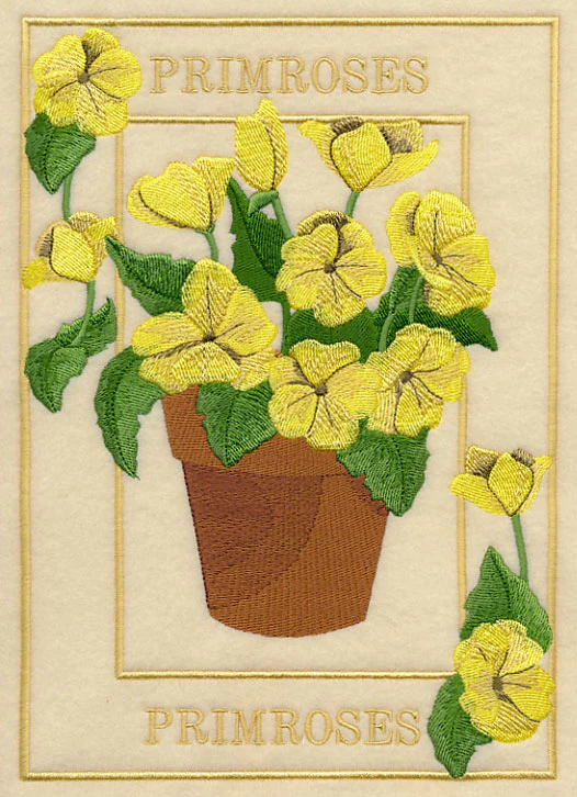 Potted Primroses Medley - Image 5