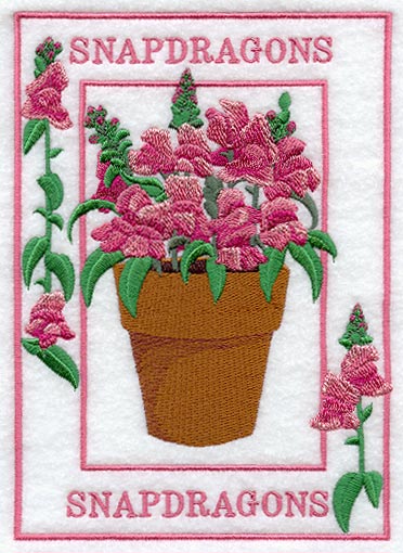 Potted Snapdragons Medley - Image 3