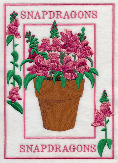 Potted Snapdragons Medley - Image 4