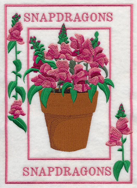 Potted Snapdragons Medley - Image 5