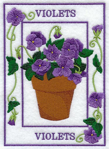 Potted Violets Medley - Image 3