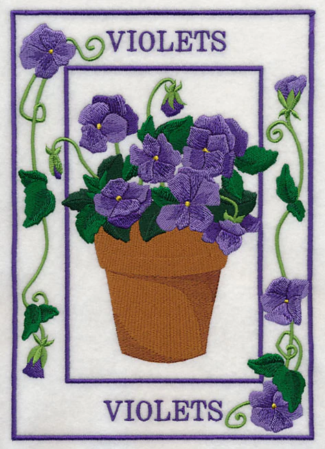 Potted Violets Medley - Image 4