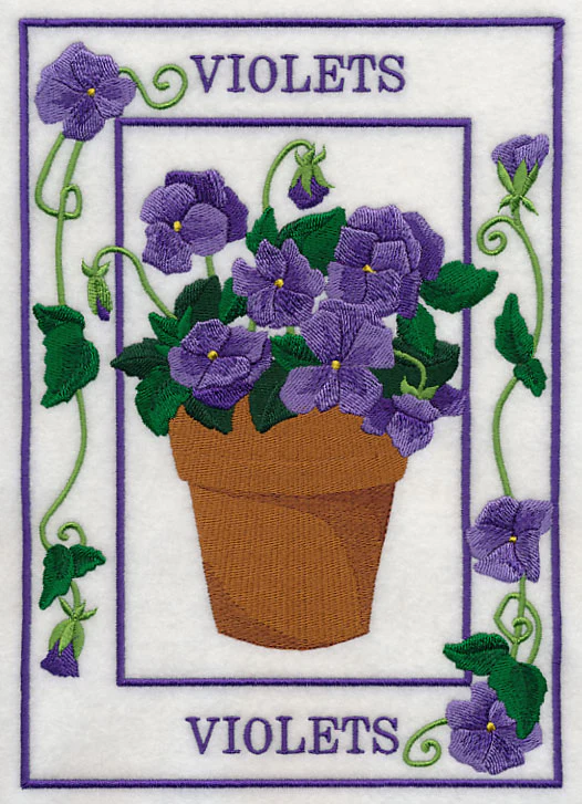 Potted Violets Medley - Image 5