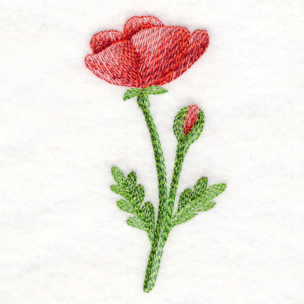 Precious Poppy in Watercolor - Image 3