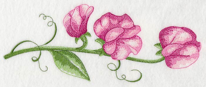 Pretty Little Sweet Pea Border - Image 2