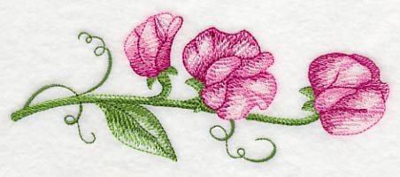 Pretty Little Sweet Pea Border - Image 3