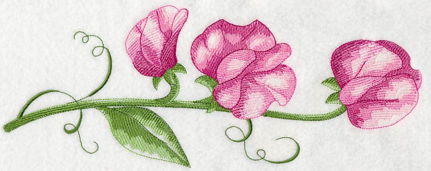 Pretty Little Sweet Pea Border - Image 6