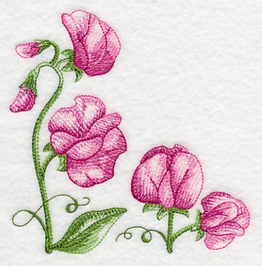 Pretty Little Sweet Pea Corner - Image 2