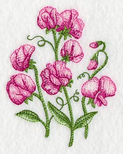Pretty Little Sweet Peas 1 - Image 4