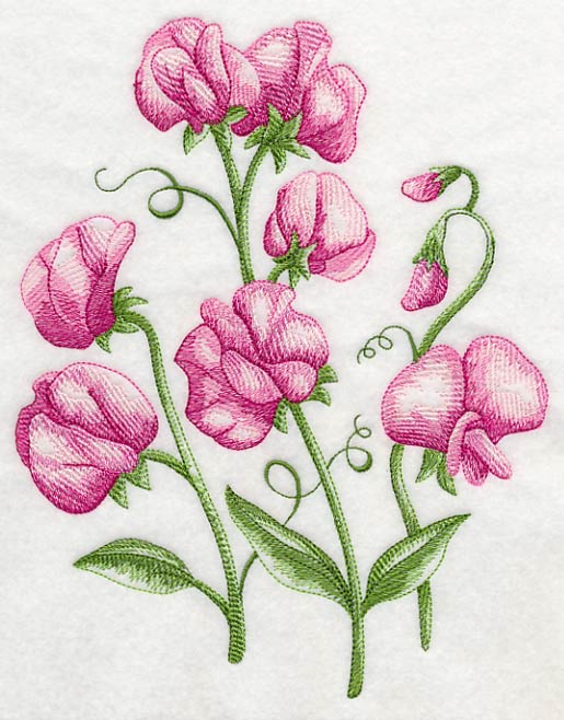 Pretty Little Sweet Peas 1 - Image 5