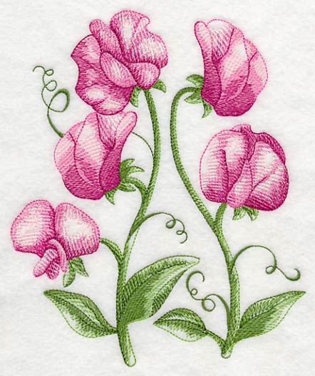 Pretty Little Sweet Peas 2 - Image 2