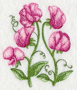 Pretty Little Sweet Peas 2 - Image 3