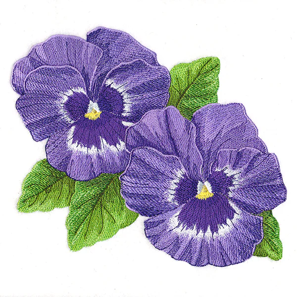 Pretty Pansies - Image 4